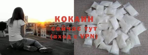 прущие грибы Алексин
