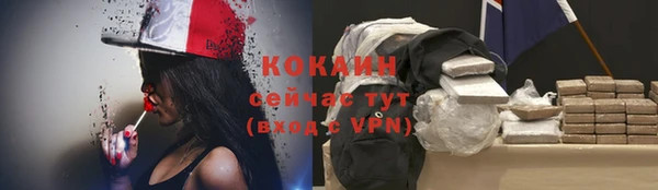 прущие крисы Абаза