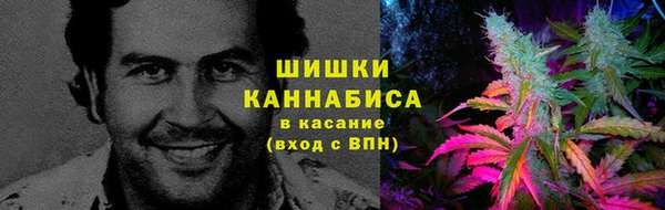 твердый Алзамай
