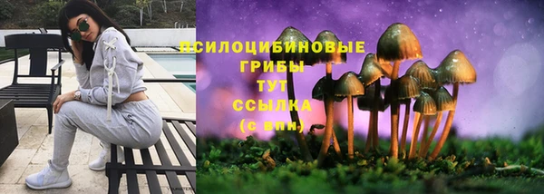 прущие крисы Абаза