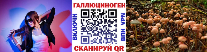 Галлюциногенные грибы мухоморы наркота ссылка на мегу маркетплейс Белый